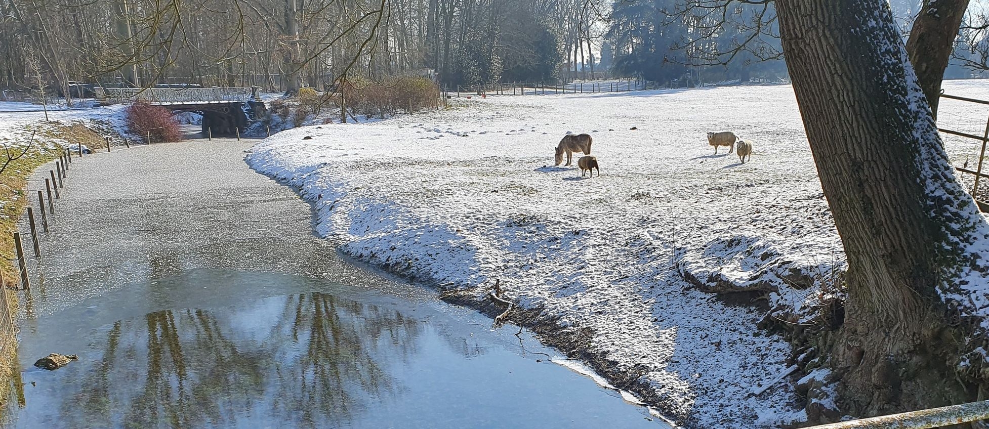 De grachten van het Château de la Saulinière in de winter