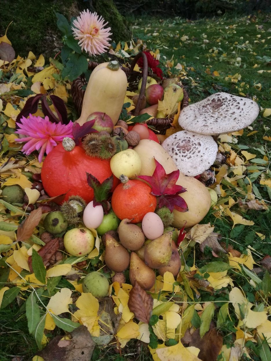 Herfstfruit in het Château de la Saulinière