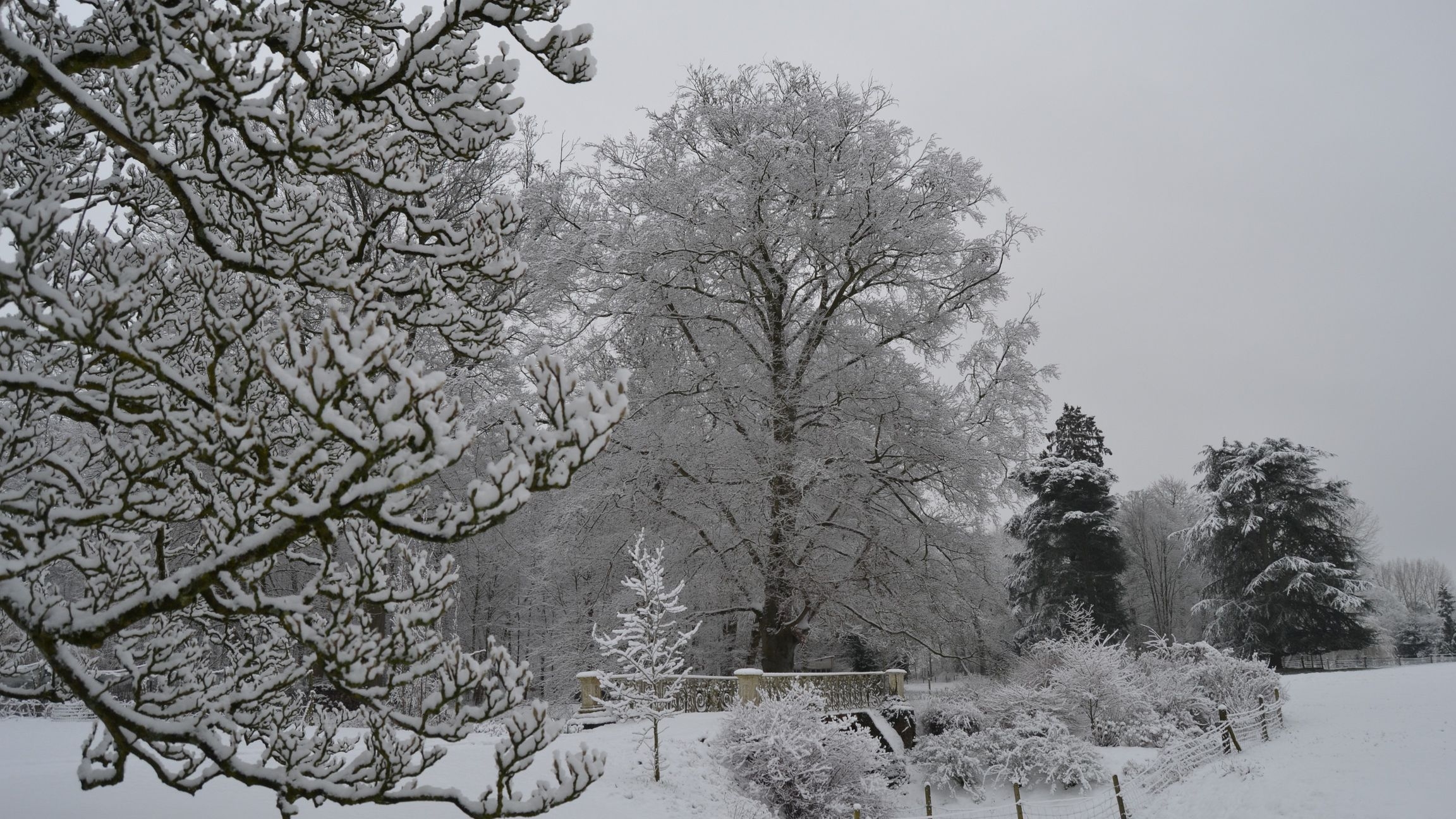 Parc du chateau de la sauliniere en hiver