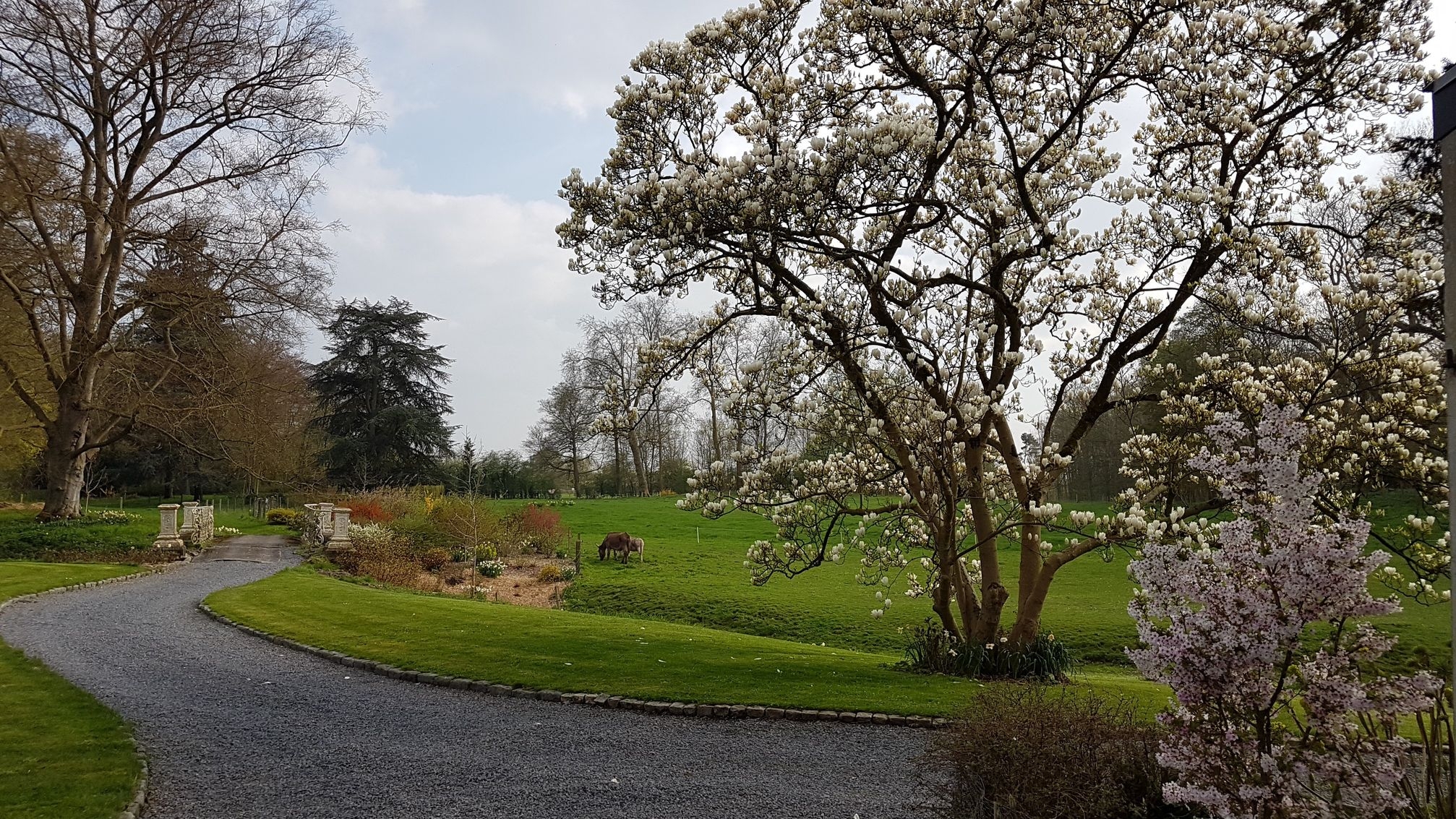 Park van het Château de la Saulinière in het voorjaar