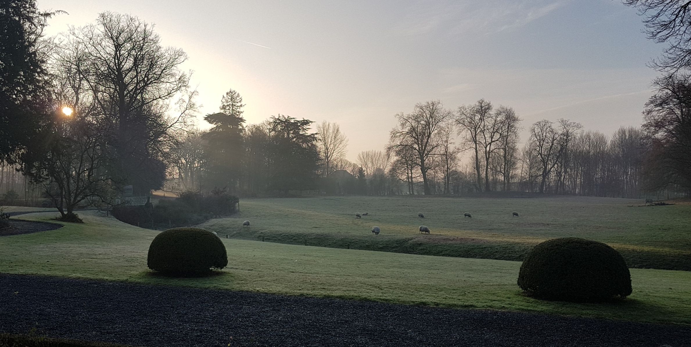 Uitzicht op het park van het Château de la Saulinière met mist