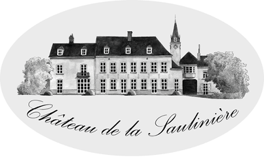 Logo du Château de la sauliniere