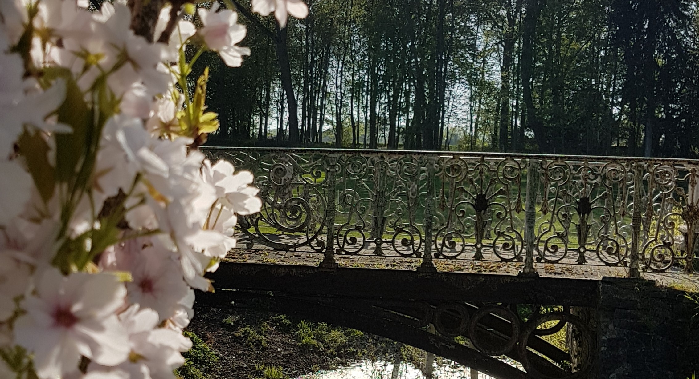 Brug in het park van het Château de la Saulinière in het voorjaar